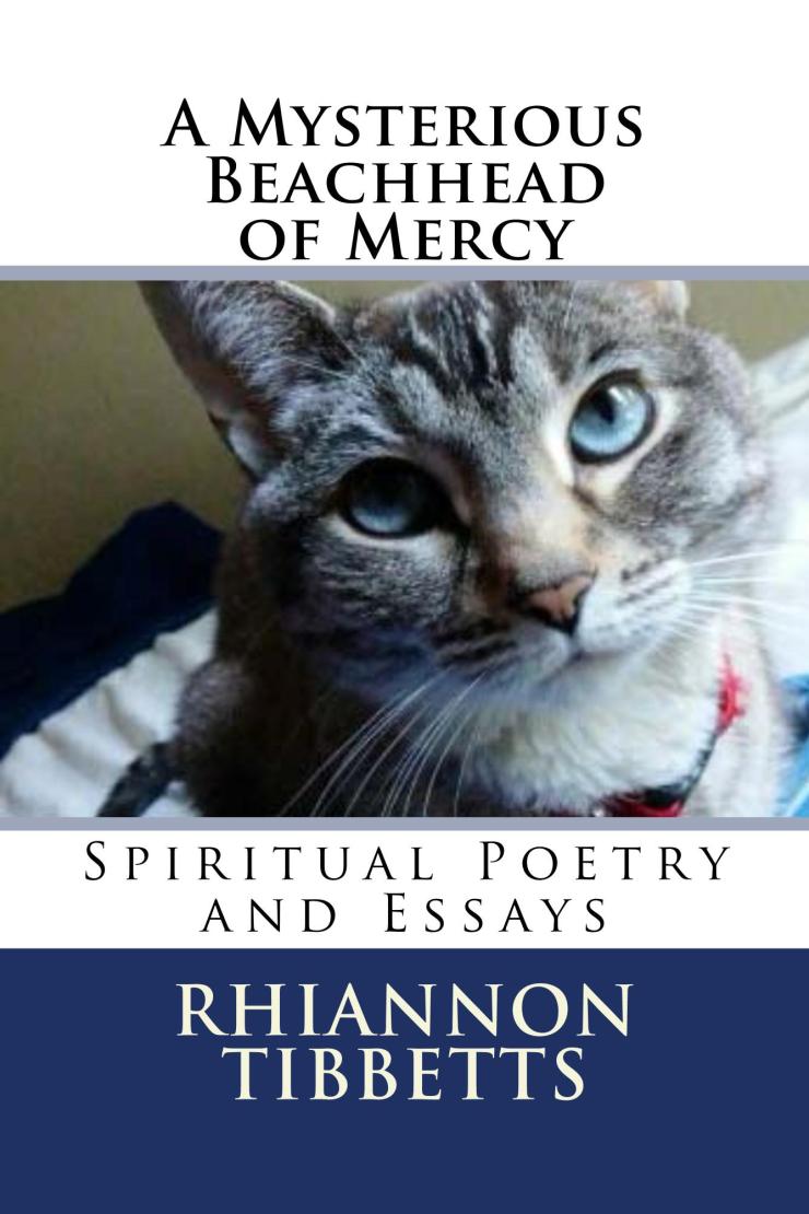 a_mysterious_beachhe_cover_for_kindle